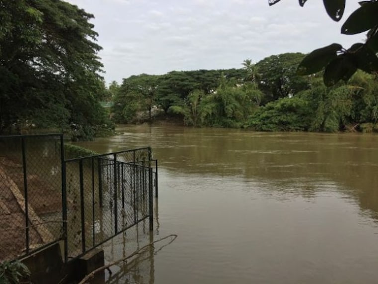 Karamana River-5